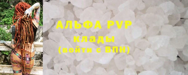 прущие крисы Абаза
