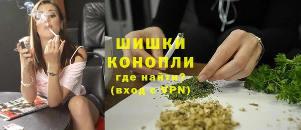 шишки Абинск