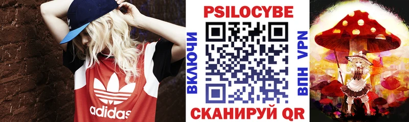 blacksprut сайт  Чулым  shop какой сайт  цена   Галлюциногенные грибы прущие грибы 